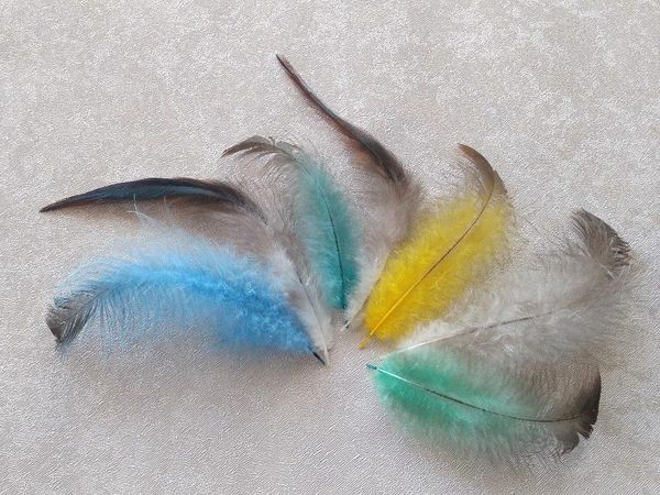 Цветные перья